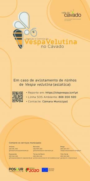 Combate a Vespa Velutina 