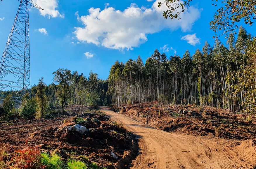 Obras - Monte de Carapeços